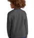 District Clothing DT6104Y District<sup></sup> Yout in Htdchar back view