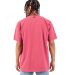 Shaka Wear Retail SHGD Garment-Dyed Crewneck T-Shi in Clay red back view