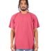 Shaka Wear Retail SHGD Garment-Dyed Crewneck T-Shi in Clay red front view