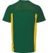 Augusta Sportswear 265 Youth Reversible Flag Footb in Dark green/ gold back view