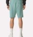 American Apparel 2PQ Pique Unisex Gym Shorts in Arctic back view