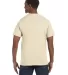 5250 Hanes Authentic T-shirt Natural back view
