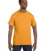 5250 Hanes Authentic T-shirt Gold front view