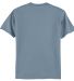 5250 Hanes Authentic T-shirt in Stonewashed blue