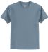 5250 Hanes Authentic T-shirt in Stonewashed blue