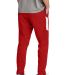 Sport Tek PST800 Sport-Tek<sup></sup> Travel Pant in Dprd/wht back view