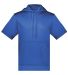 Augusta Sportswear 6871 Fleece Short Sleeve Hooded Pullover Catalog catalog view