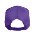 Team 365 TT801 by Yupoong® Adult Zone Performance in Sport purple back view