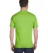 5180 Hanes Beefy-T Lime back view