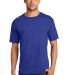 5180 Hanes Beefy-T in Deep royal