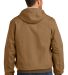 CARHARTT CTT106678 in Carharttbr back view