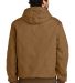 CARHARTT CTT106677 in Carharttbr back view