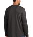 CARHARTT CT106656 in Carbonhthr back view