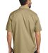 CARHARTT CT106688 in Darkkhaki back view