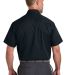 Cornerstone CSW175 in Navyblue back view
