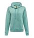 J America 8742 Women's Electric Fleece Hooded Sweatshirt Catalog catalog view