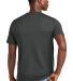 District Clothing DT184 District Perfect Weight CV in Charcoal back view