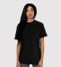 Teestyled TS4300  Promotional T-Shirt  in Black front view
