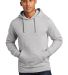 The North Face A47FF     Pullover Hoodie in Tnf lt grey he front view