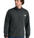 The North Face NF0A8C5G    Double-Knit 1/2-Zip Fle in Asphaltgry front view