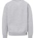 MV Sport 23154Y Youth Buddy Crewneck Sweatshirt in Heather grey back view