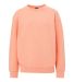 MV Sport 23154Y Youth Buddy Crewneck Sweatshirt Catalog catalog view