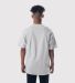 Teestyled TS6000 FOUNDER TEE in Ash back view