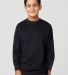 Cotton Heritage Y2460 Youth Crew Neck Fleece Catalog catalog view