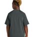 Sport Tek YJST489 Sport-Tek Youth Repeat 1/2-Zip S in Irongrey back view
