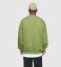Teestyled TS9503  | HAND DISTRESSED SWEATSHIRTS in Military green back view