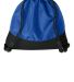 Port Authority Clothing BG619 Port Authority Agili in Trueroyal back view