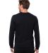Threadfast Apparel T3001 Epic Unisex CVC Long Slee in Solid black back view