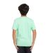 Threadfast Apparel T1000B Youth Epic Cotton T-Shir in Mint green back view
