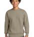 Next Level Apparel 9007 Heavyweight Crewneck Sweat in Tan