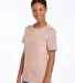 Fruit of the loom 3930R 3931 Adult Heavy Cotton HD in Blush pink side view