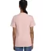 Fruit of the loom 3930R 3931 Adult Heavy Cotton HD in Blush pink back view