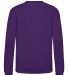 AWDis JHY030 Youth Sweatshirt in Purple back view