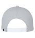 Swannies SWD800 Delta Cap in Stone back view