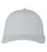 Swannies SWD800 Delta Cap in Stone front view