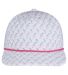 Swannies SWR100 Ryan Cap in White/ blank front view