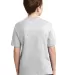 29B Jerzees Youth Heavyweight 50/50 Blend T-Shirt in Ash back view