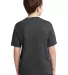 29B Jerzees Youth Heavyweight 50/50 Blend T-Shirt in Black heather back view