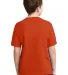 29B Jerzees Youth Heavyweight 50/50 Blend T-Shirt in Burnt orange back view