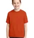 29B Jerzees Youth Heavyweight 50/50 Blend T-Shirt in Burnt orange front view