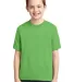 29B Jerzees Youth Heavyweight 50/50 Blend T-Shirt in Kiwi front view