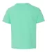 29B Jerzees Youth Heavyweight 50/50 Blend T-Shirt in Cool mint back view