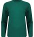 Swannies SWP400L Women's Paige Pullover in Pine front view
