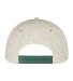 Swannies SWWL800 Walter Cap in Tan back view