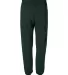 4850 Jerzees Adult Super Sweats® Pants with Pocke Forest Green back view