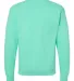 562 Jerzees Adult NuBlend® Crewneck Sweatshirt Cool Mint back view